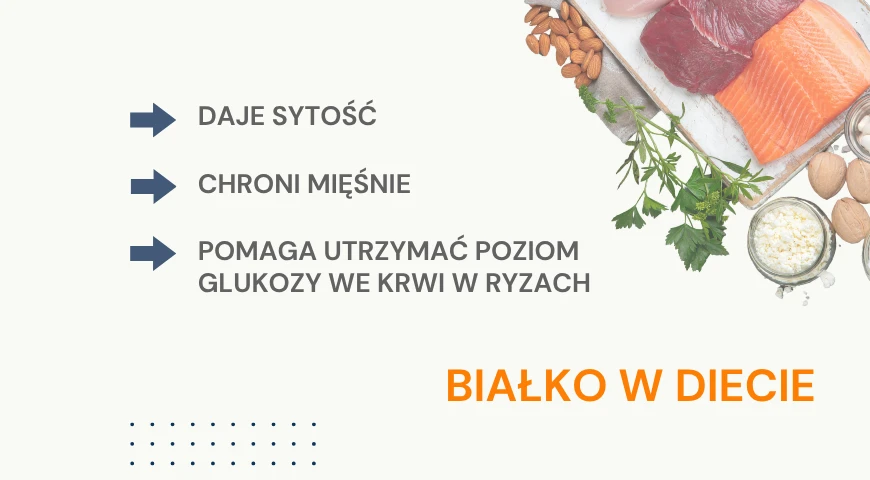  bialko_w_diecie