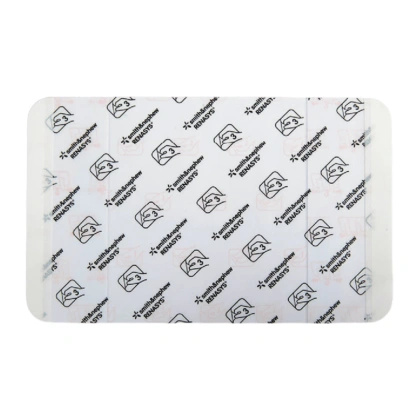 Renasys - transparentna folia 20 x 30 cm (10 szt.)