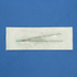 Pinceta chirurgiczna 14 cm standardowa prosta Peha-instrument 